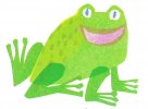 green frog flashcard